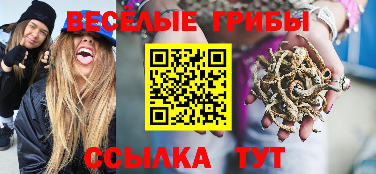Псилоцибиновые грибы Cubensis  магазин продажи   Псилоцибиновые грибы Psilocybine cubensis  Ртищево  Вход с VPN 